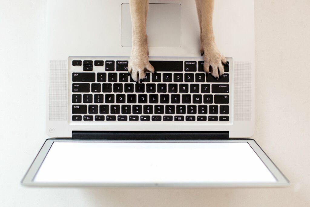 Qu'est-ce qui influence le PageRank ?